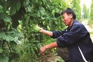 吃瓜阮阮,揭秘娱乐圈背后的故事  第2张